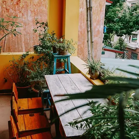 Hanoi Papaya